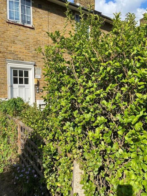 One Bedroom Putney Village Flat Londen Buitenkant foto